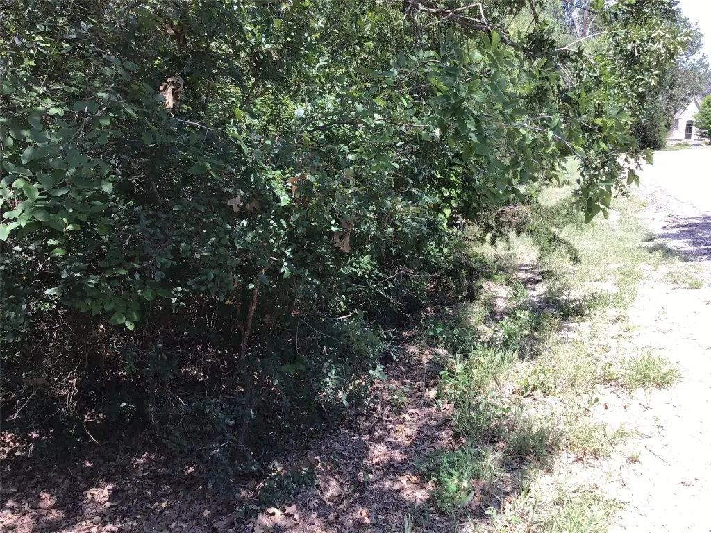 Picture 8