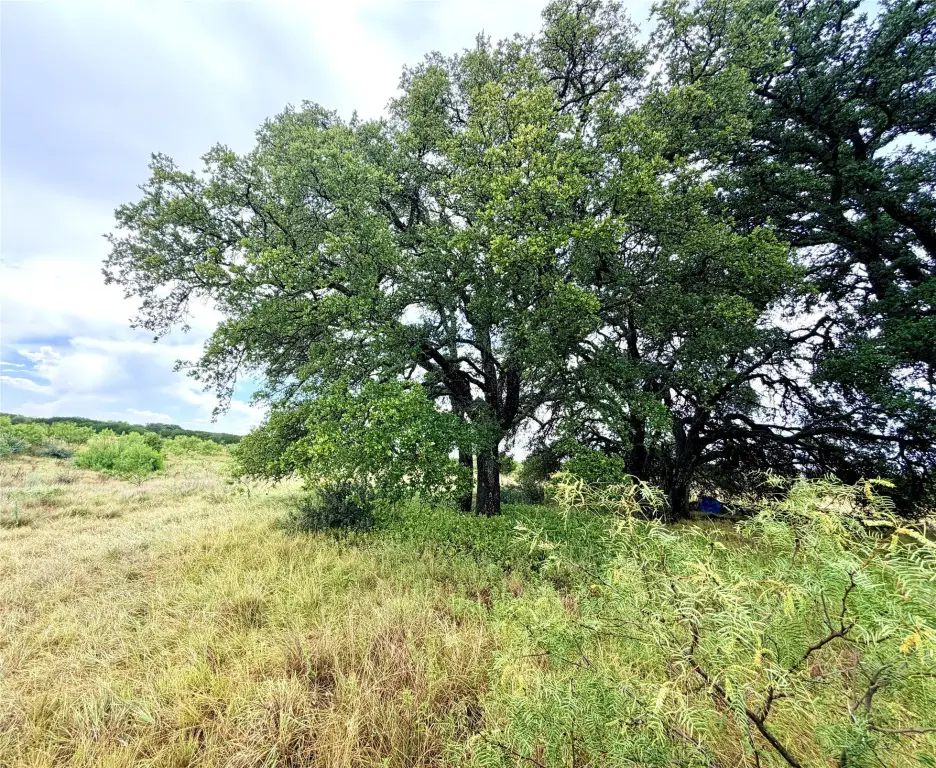 Picture 16