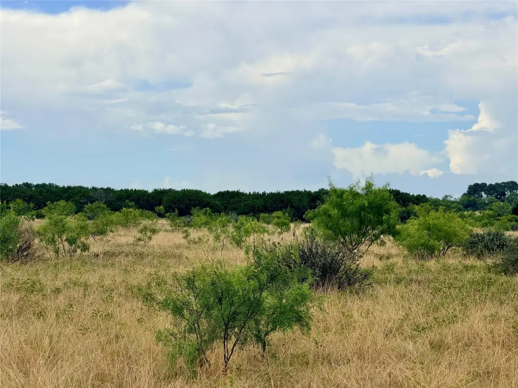 Picture 30