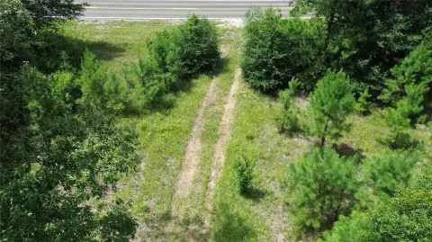 Wooded Recreational Land Tract
