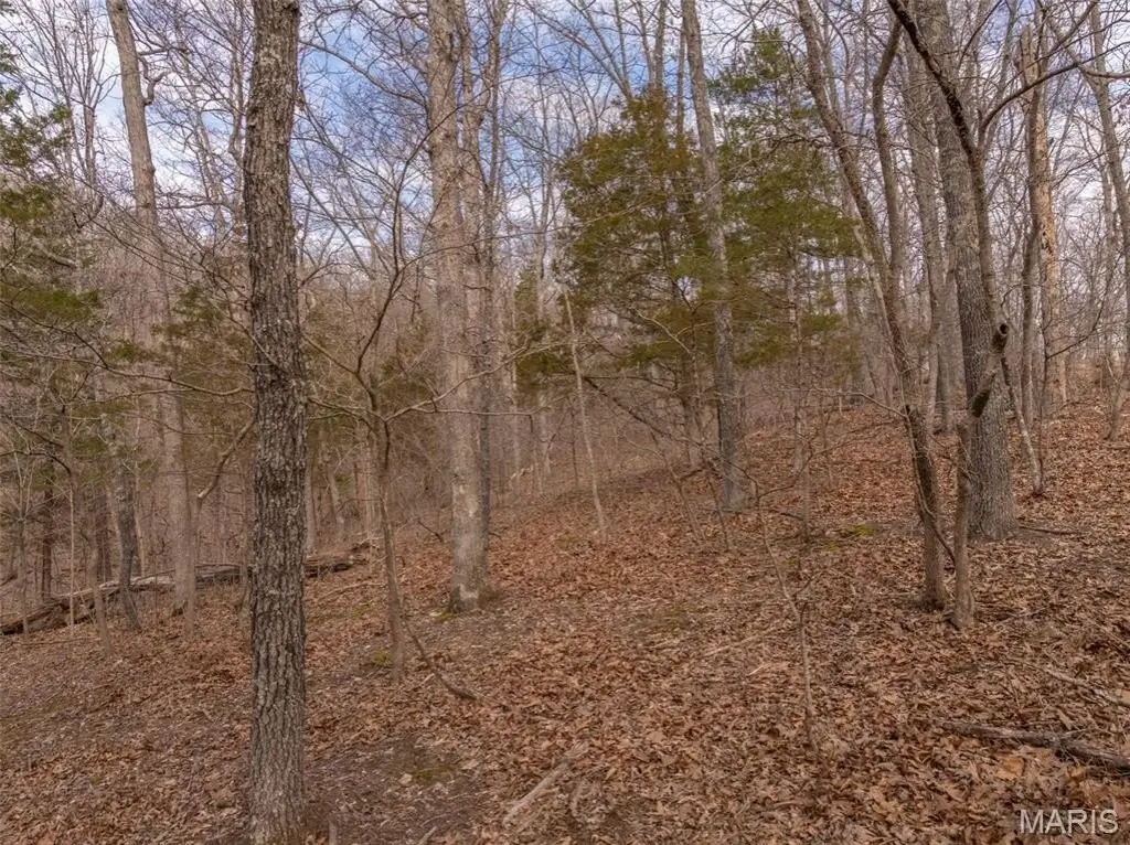 Picture 5