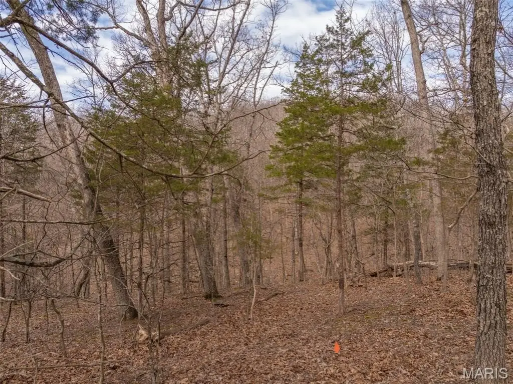 Picture 4