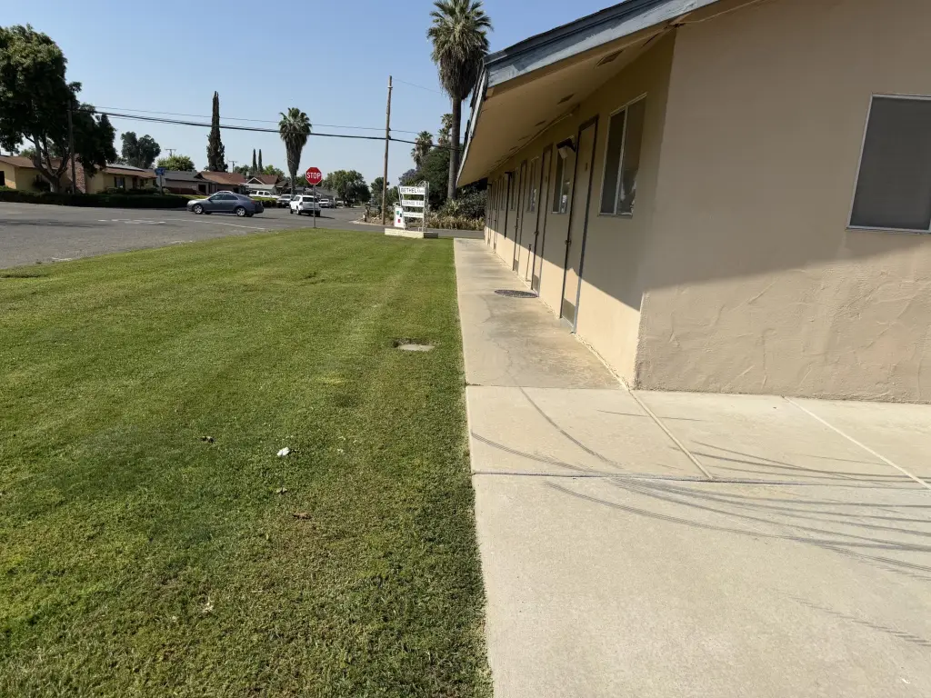 Picture 33