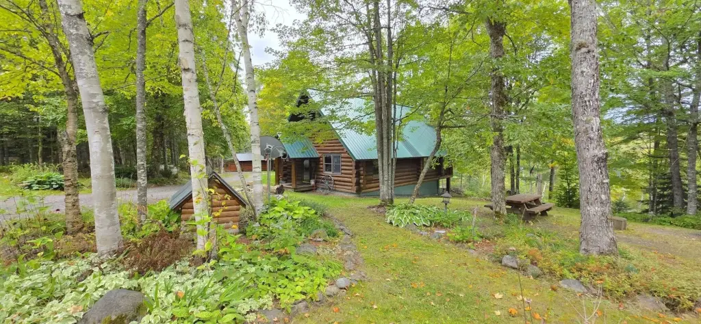 Picture 7