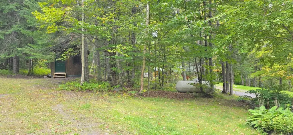 Picture 5