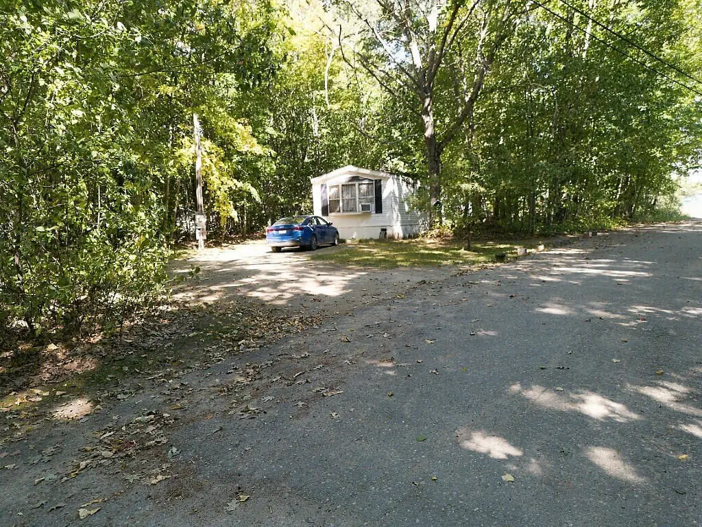 Picture 11