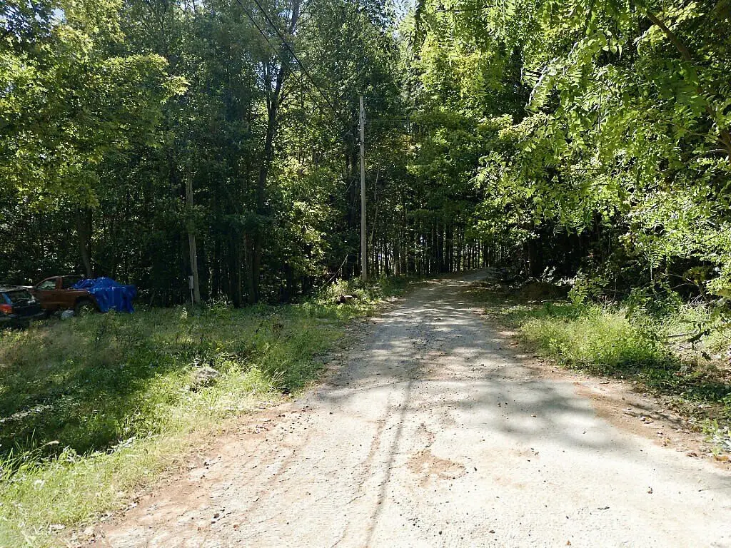 Picture 6