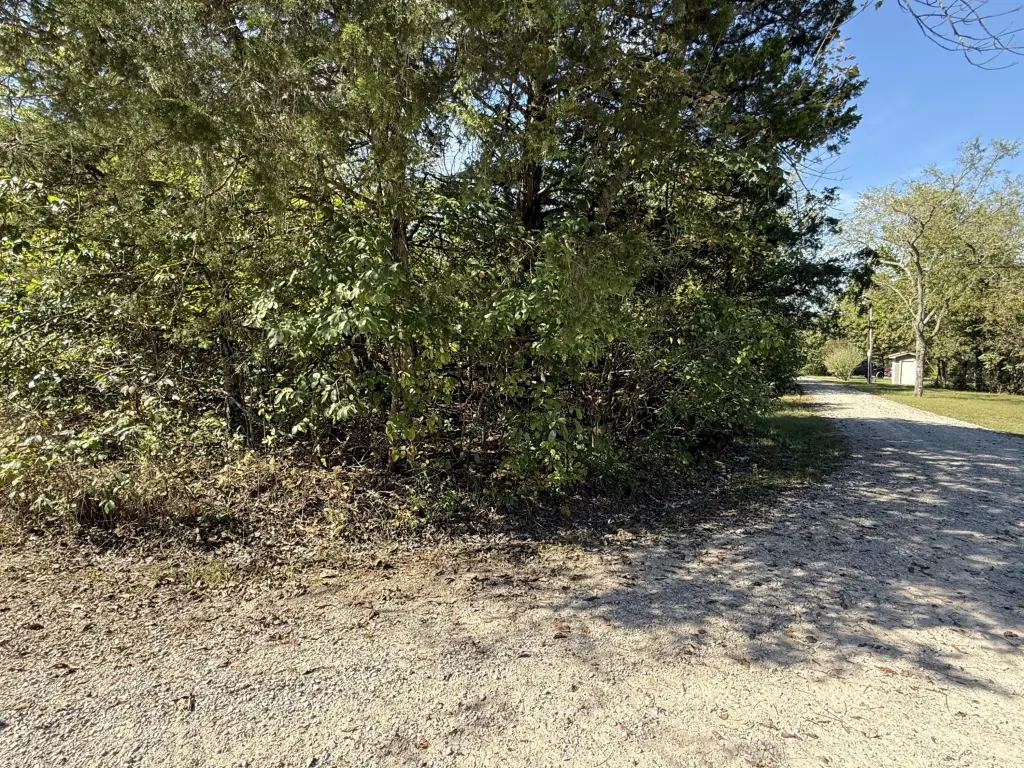 Picture 4