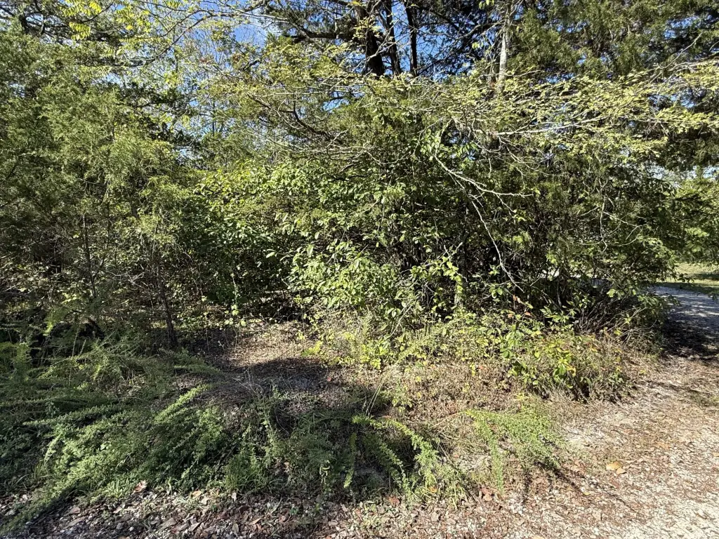 Picture 3