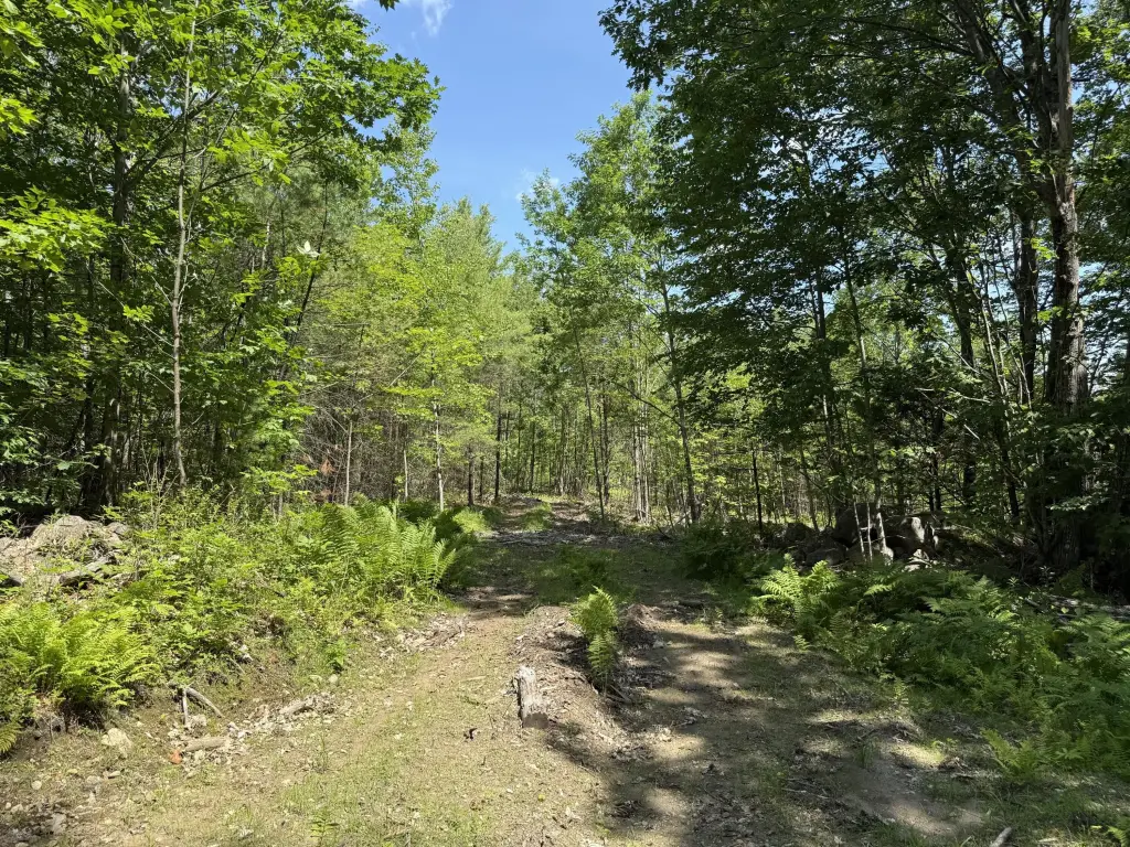 Picture 5