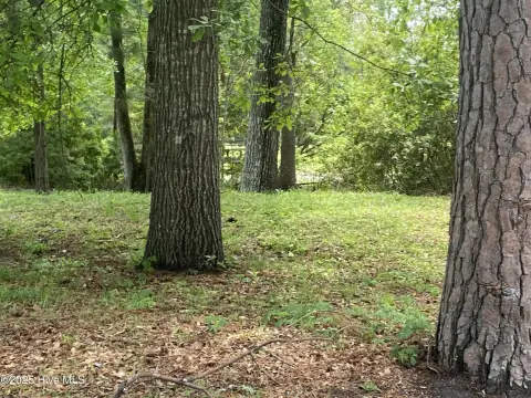 Residential Homesite Near Historic Downtown