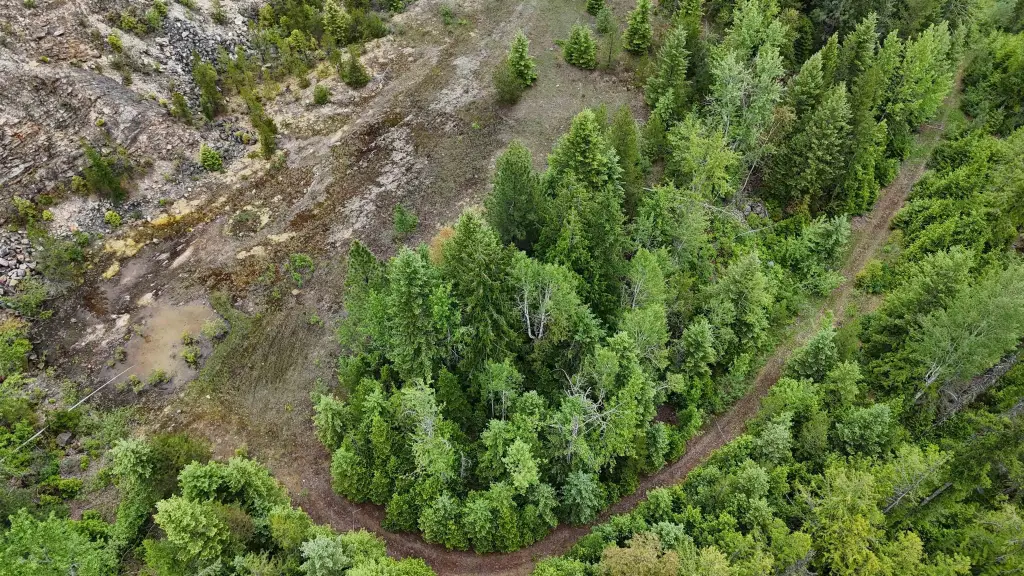Picture 28