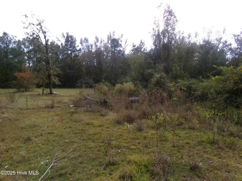 Picture 3