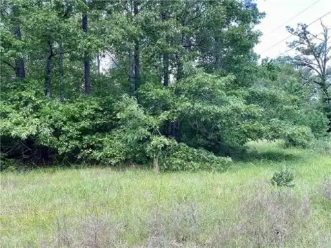 Vacant Land in Deville, LA