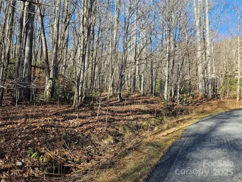 Wooded Lot in Brookside Estates