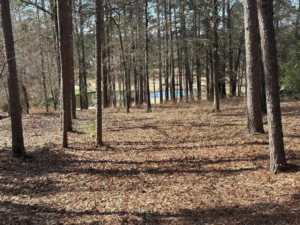 Picture 4