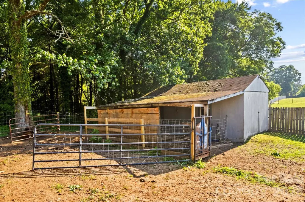 Picture 13