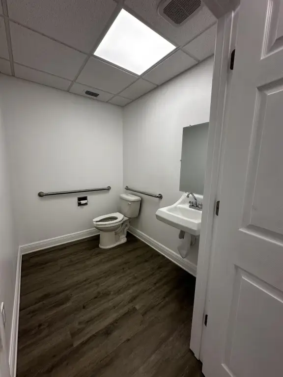 Picture 6