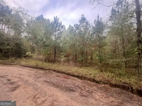Secluded 1-Acre Lot in Cordele