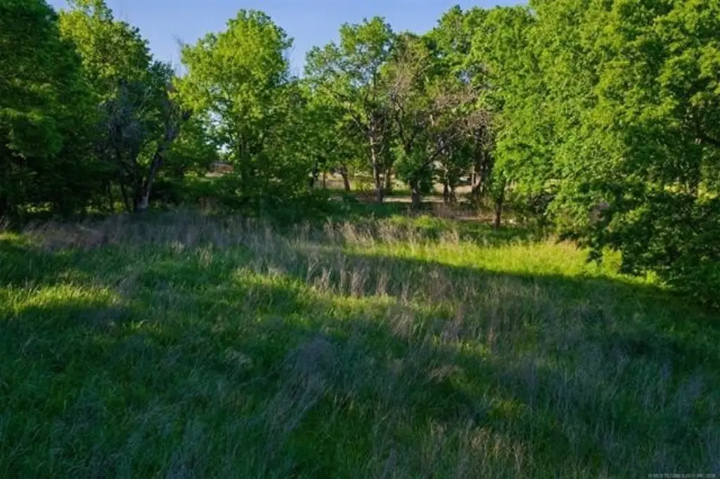Picture 18