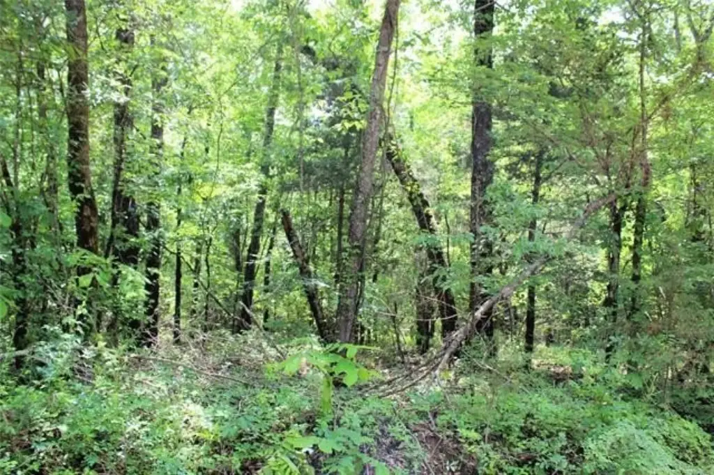 Picture 11