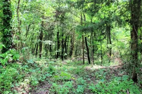 20 Acres of Oklahoma Hunting Land