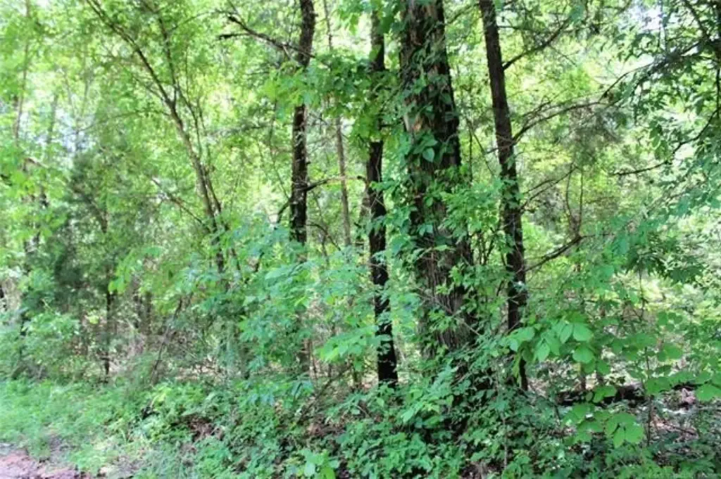 Picture 10