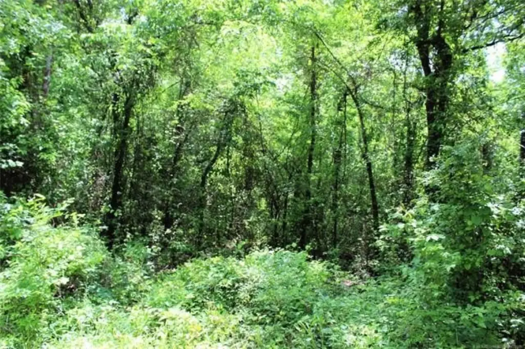 Picture 5
