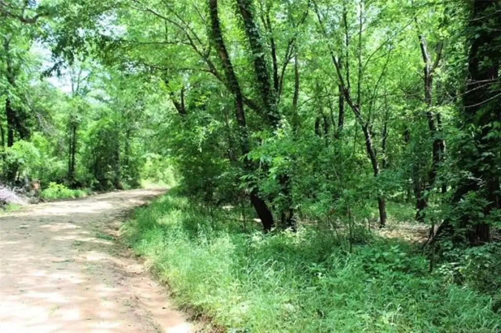 Picture 9