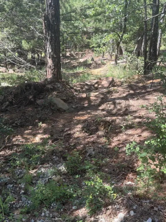 Picture 20