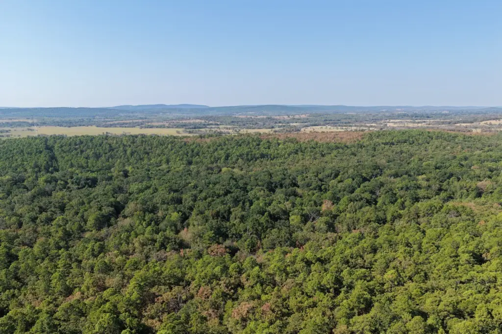 Picture 25
