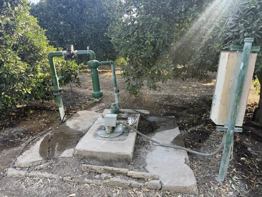 Picture 17