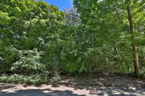 Residential Land in Edwardsville, Illinois