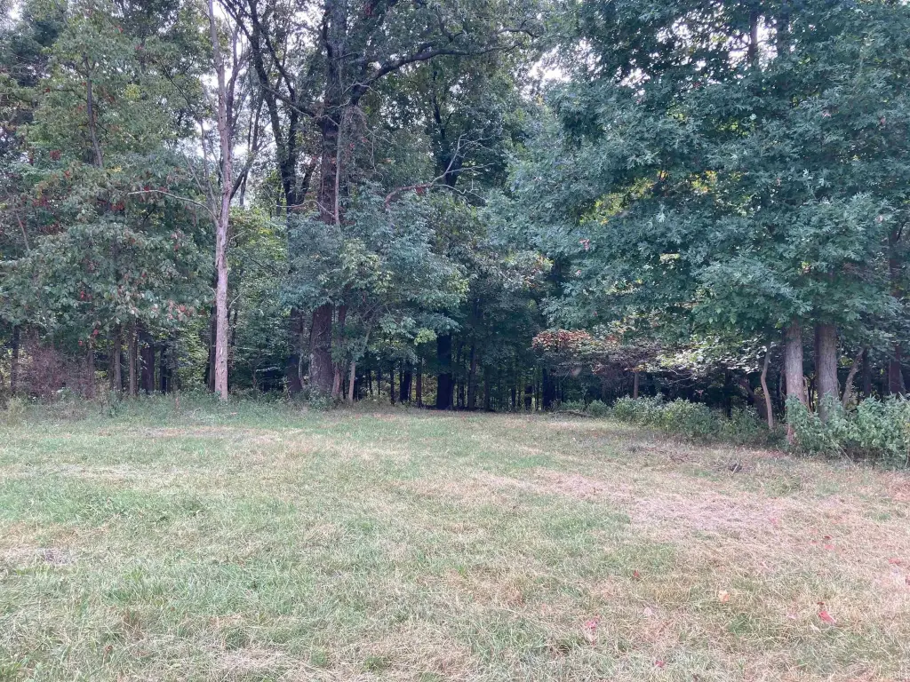 Picture 21