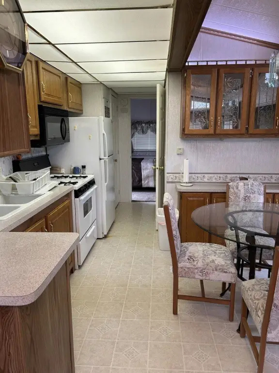 Picture 12