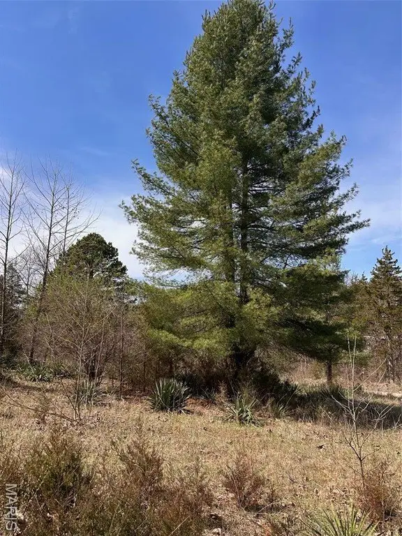 Picture 9