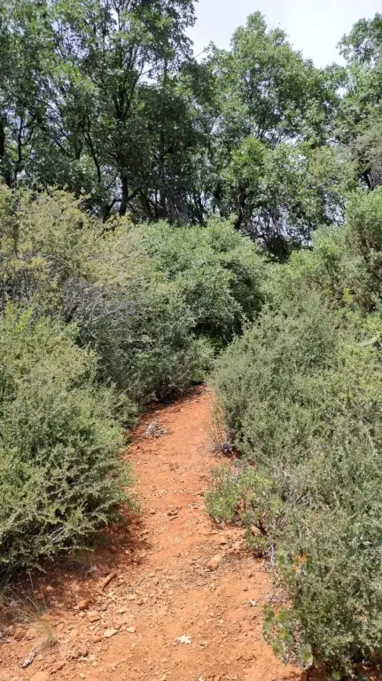 Picture 24
