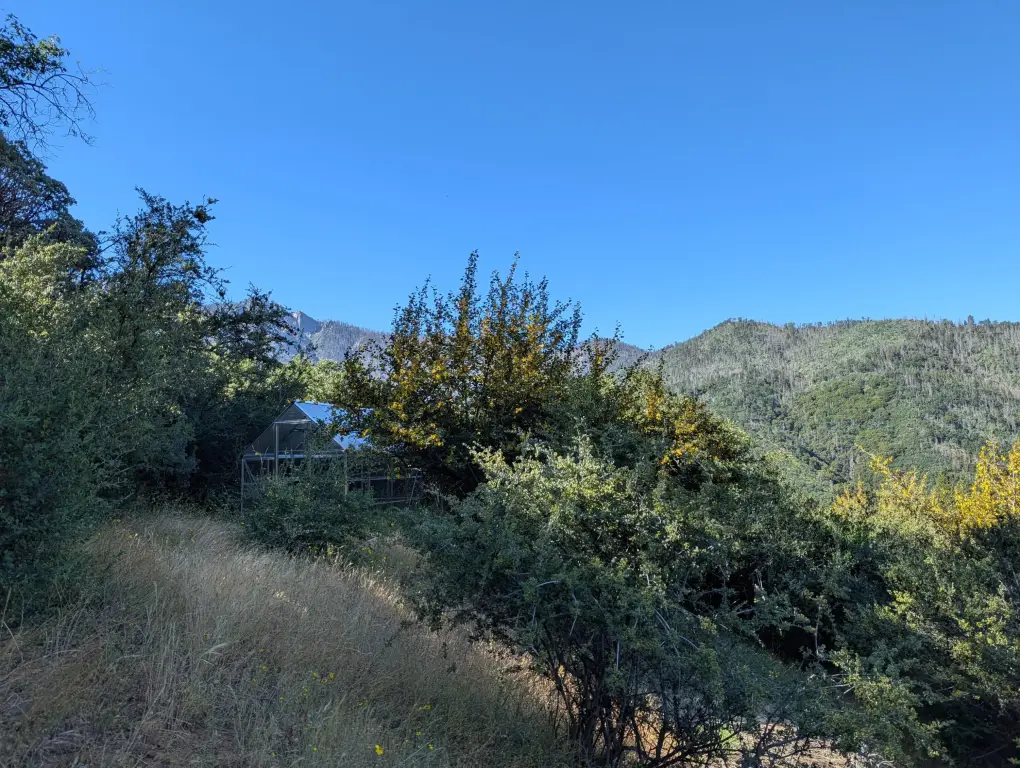 Picture 25