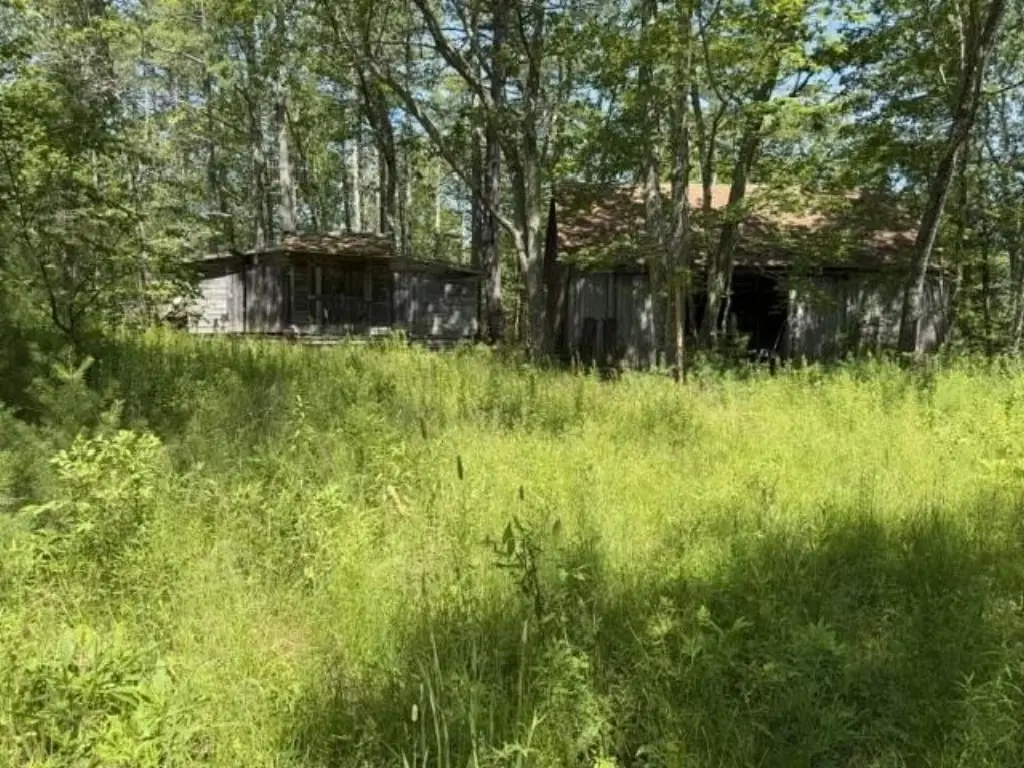 Picture 8