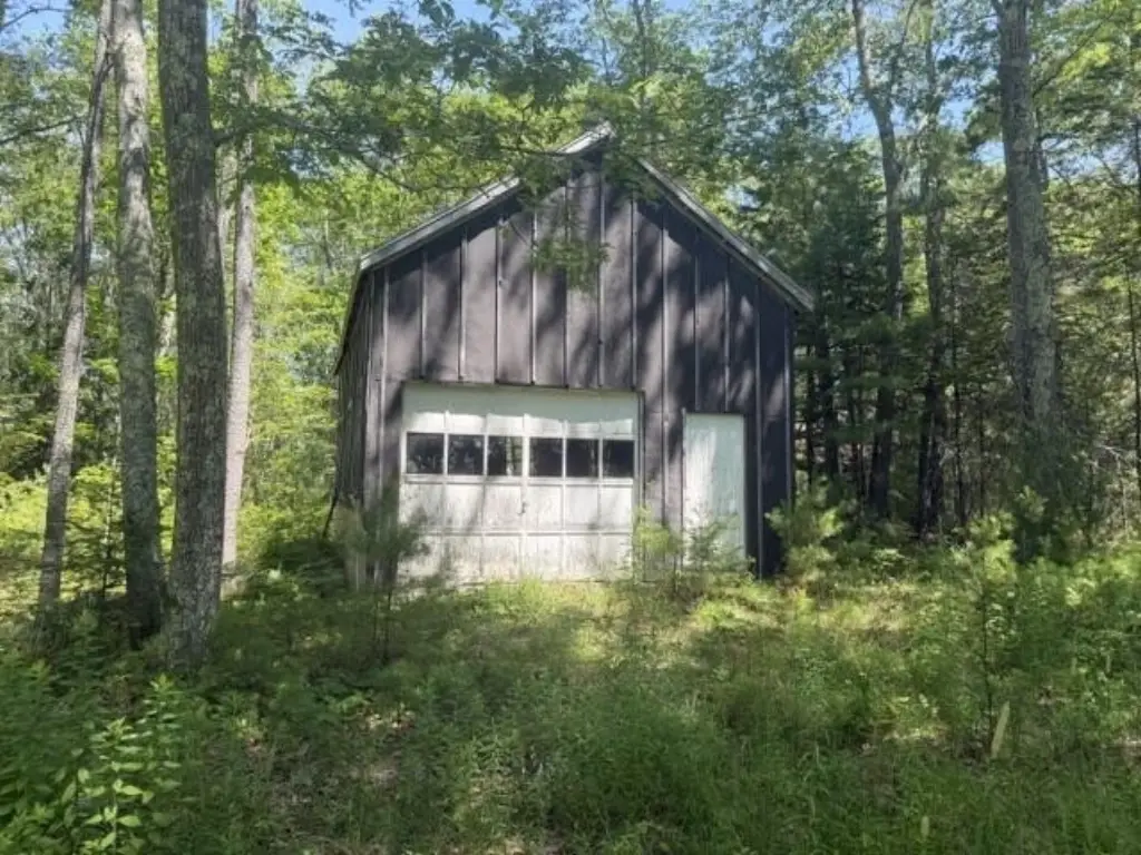 Picture 5