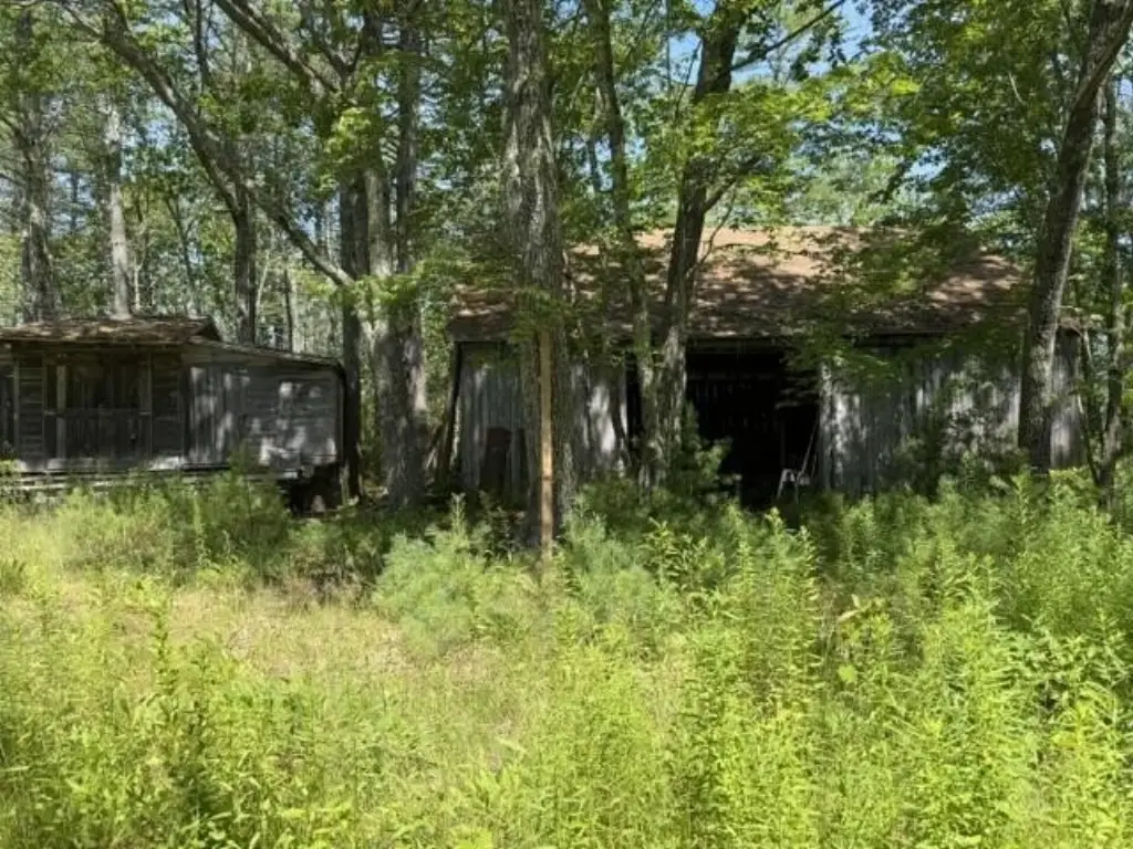 Picture 9