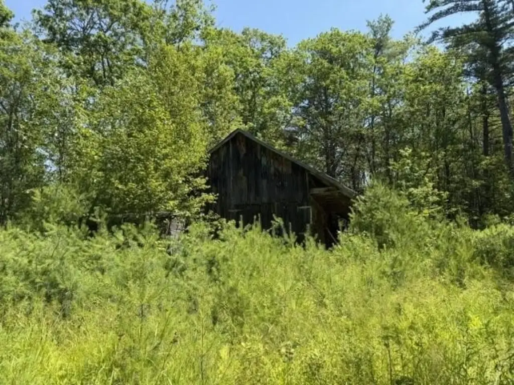 Picture 2
