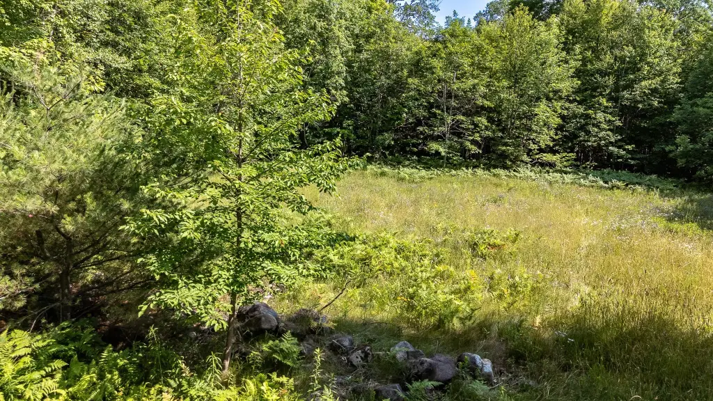 Picture 25