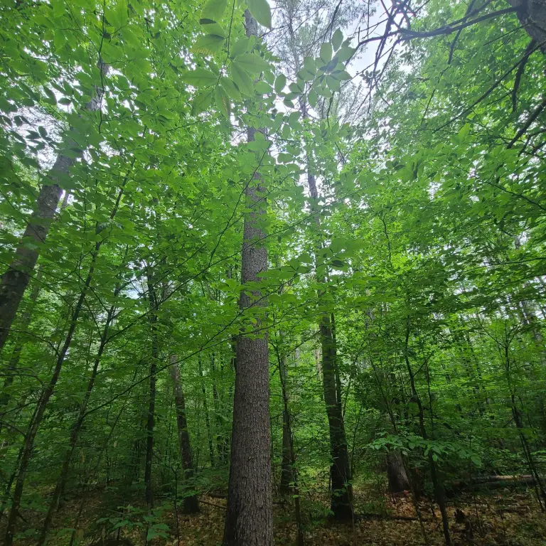 Picture 15
