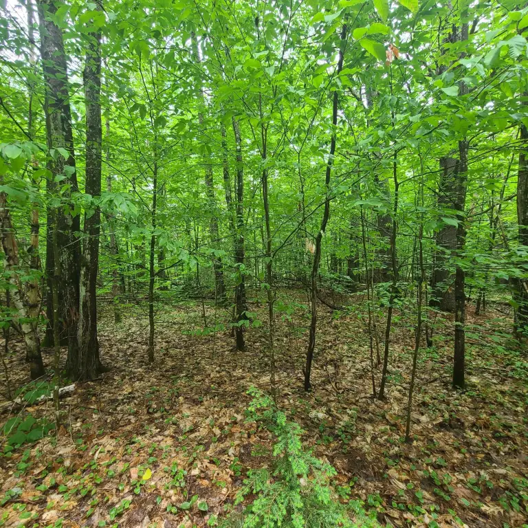 Picture 13