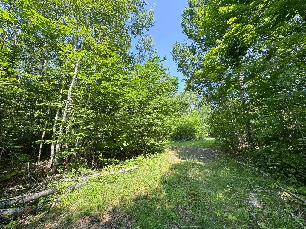Picture 12