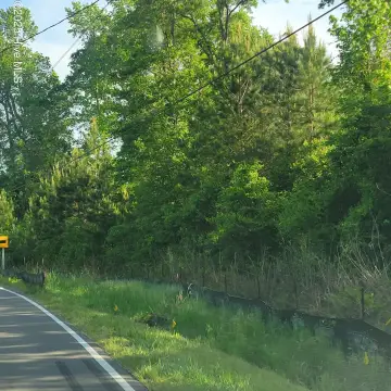 Burgaw, NC Land Opportunity