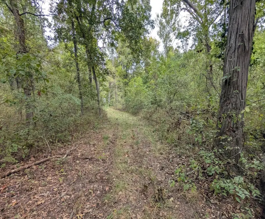 Picture 5