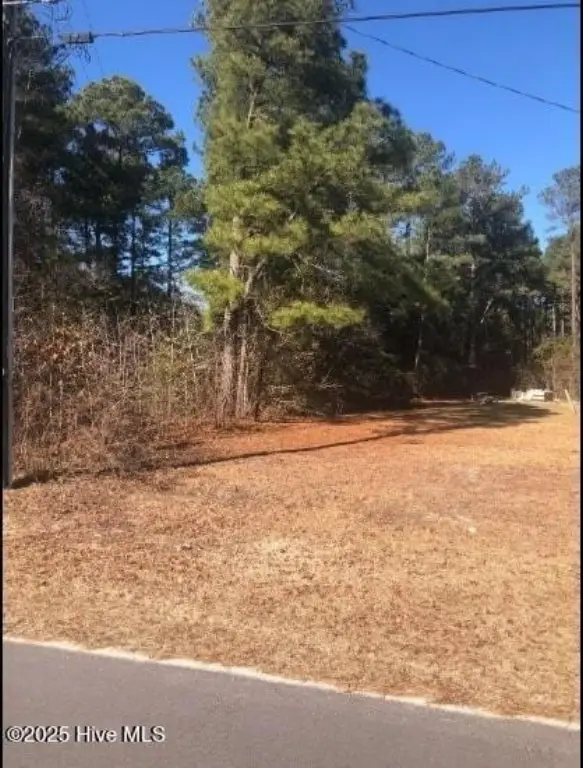 Picture 18