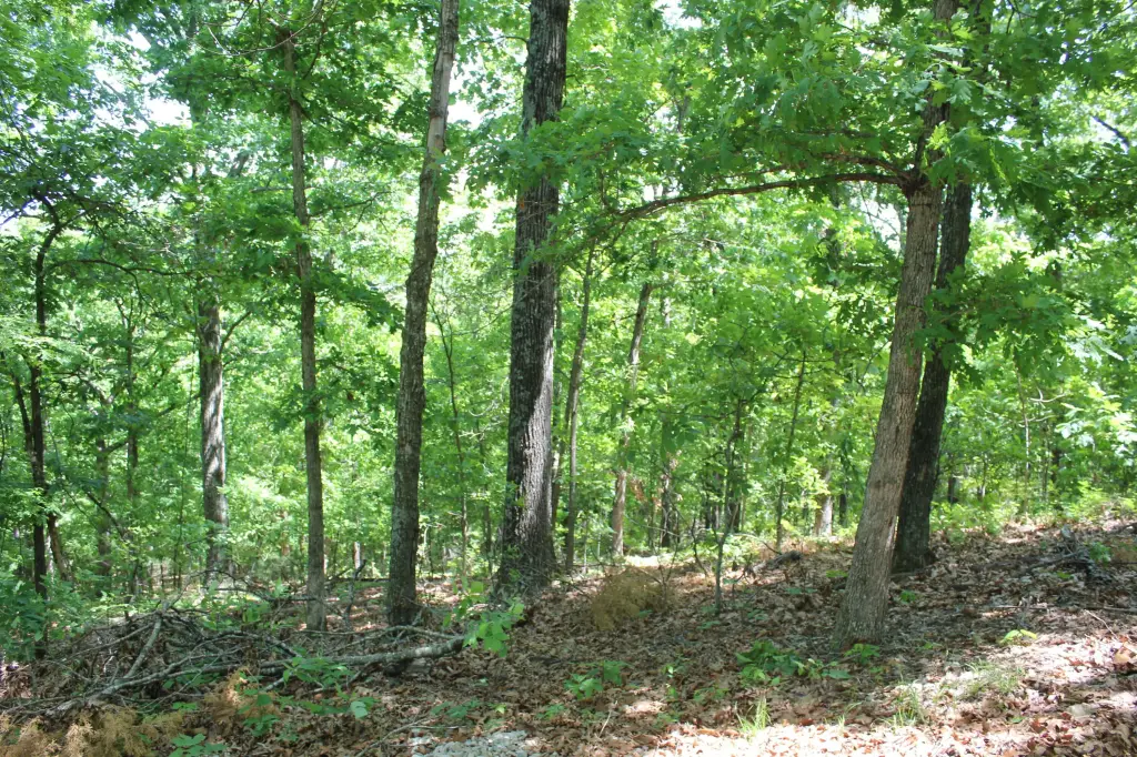 Picture 15